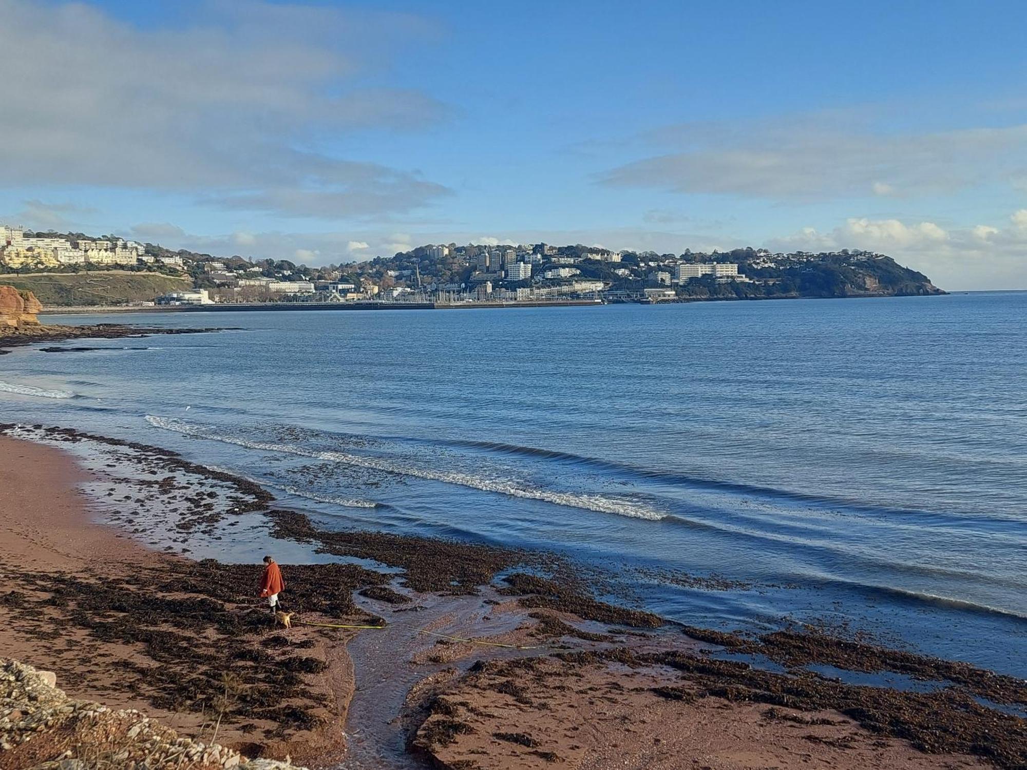 The Seaview Suites At The Corbyn Apartments Torquay Quarto foto